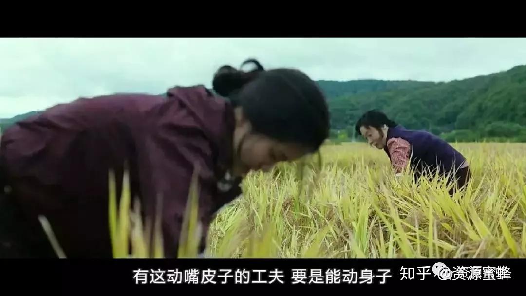 草民电影看一天,草民电影看一天，时代的印记与文化的回响