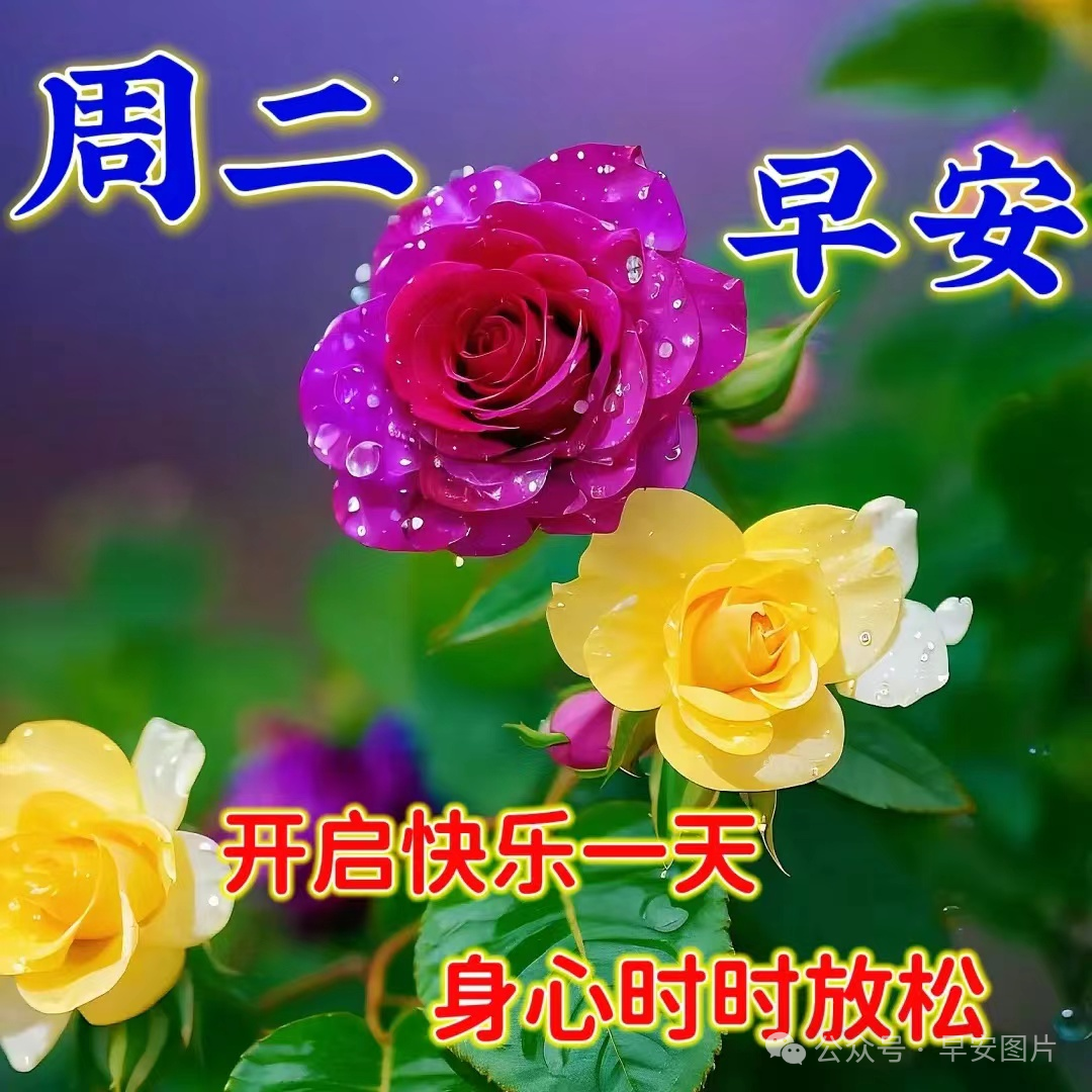 最新版早安图,最新版早安图，传递正能量的晨间问候
