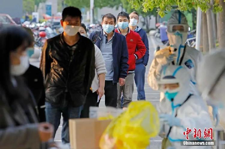 全球肺炎最新数据与心灵之旅，自然美景中寻找平和与宁静
