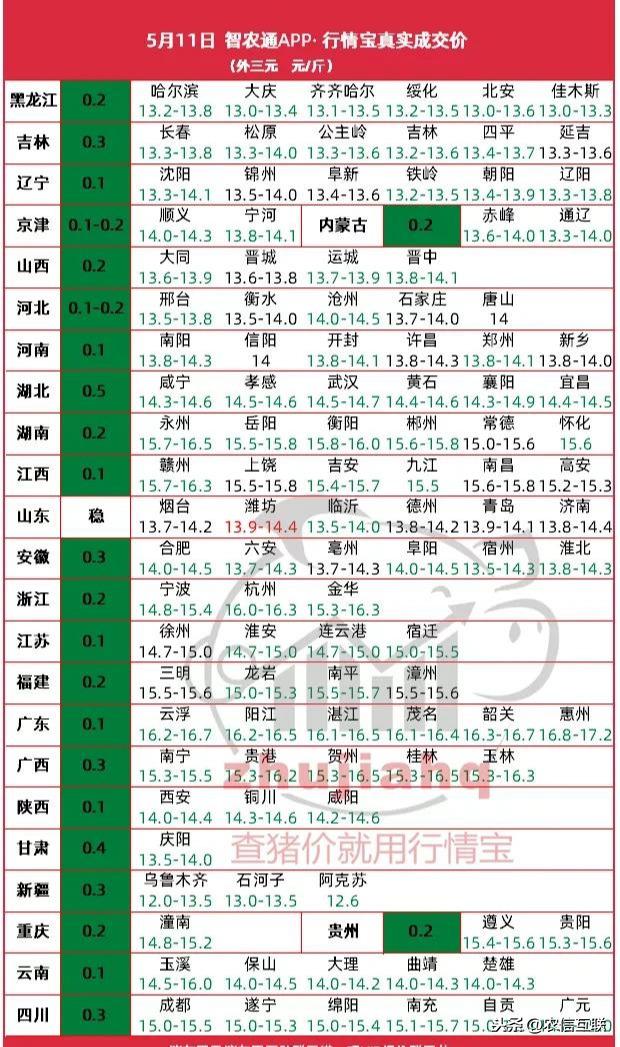 今天猪价格最新价格,今日聚焦猪价格最新行情，带你洞悉市场走势！