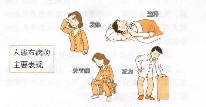第1098页