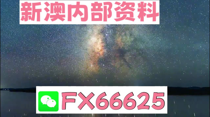2024新澳天天资料免费大全,稳固执行方案计划_采购版87.101