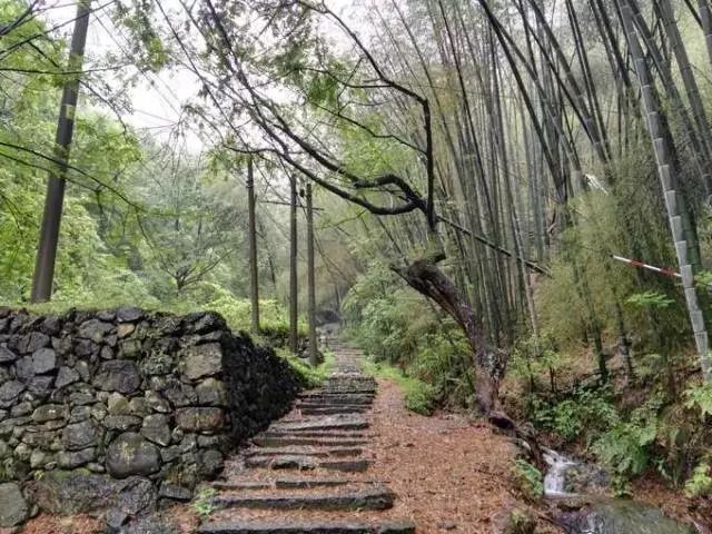 第1029页
