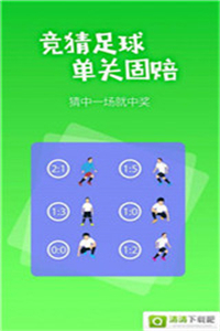 4949cc澳彩资料大全正版,实地应用实践解读_游戏版34.995