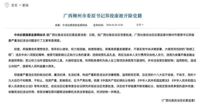 肖菊华为什么开除党籍,创新策略设计_L版98.453
