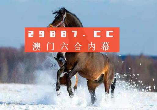 马会传真资料2024澳门,实地验证实施_抓拍版4.953