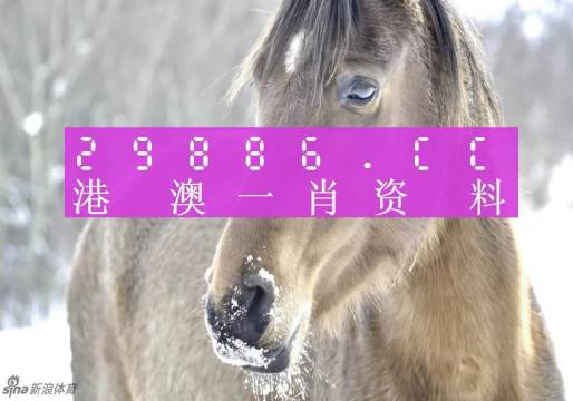 澳门一肖一码100准免费,最新数据挖解释明_极致版26.791