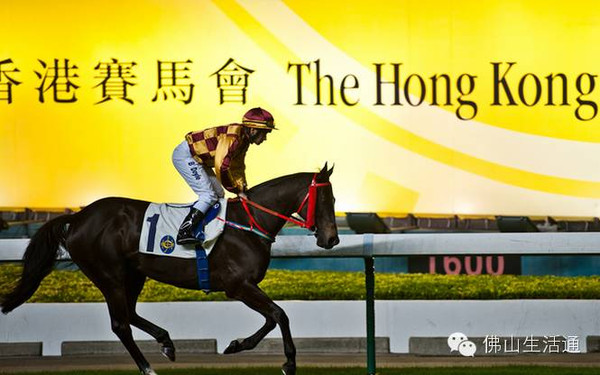 2024香港赛马全年免费资料,安全设计解析说明法_拍照版22.489