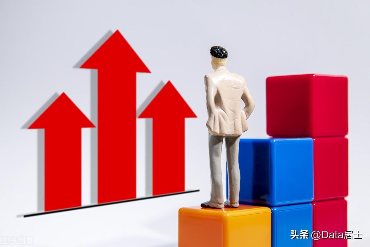 国内上市公司的种类及其相关观点分析