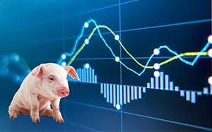 肉价行情详解，如何关注与理解波动趋势