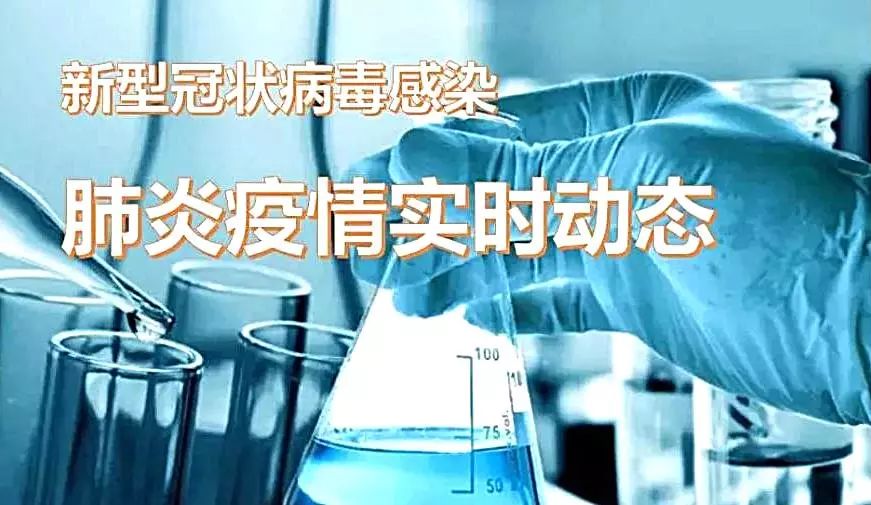 肺炎最新动态,肺炎最新动态，全面步骤指南