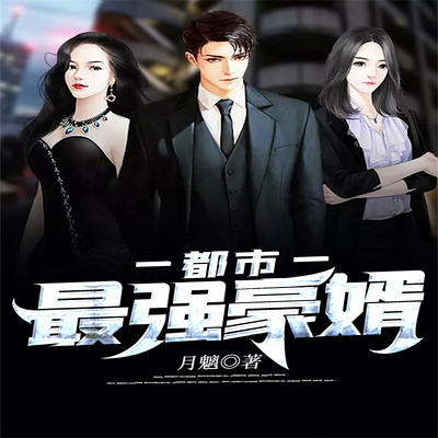 豪婿新篇章点评解析