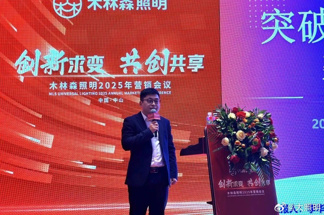 林茂光最新动态2025，多维度视角下的深度观点分析