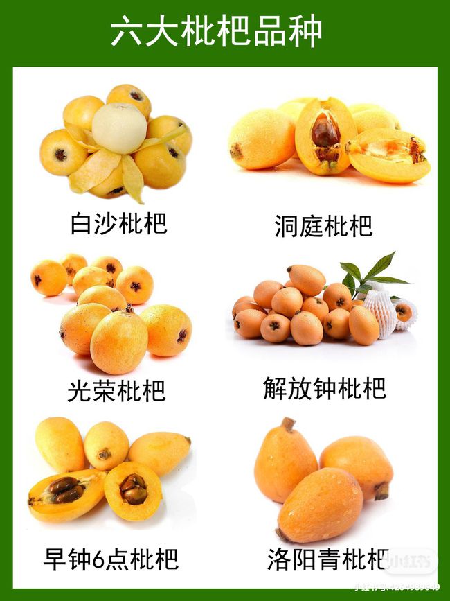 医院概况 第43页