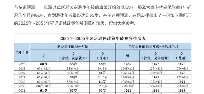 最新失业者退休年龄标准详解与观点论述