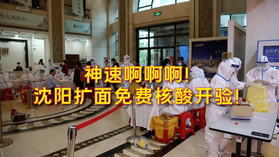 辽阳疫情最新动态解析及应对建议