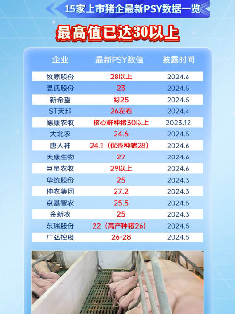 猪场新貌揭秘，小巷深处的独特小店