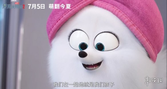 最新爱宠，宠物界的璀璨新星闪耀登场