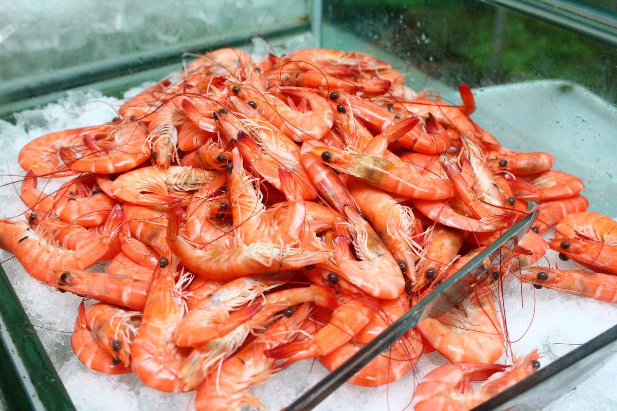 探索海洋美味，最新大作虾料理，品味独特虾之诱惑