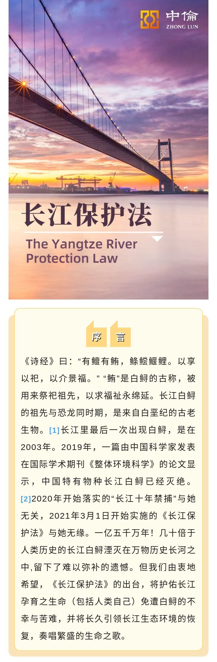 长江保护最新进展，观点阐述与深度分析