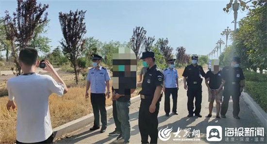 微山最新案件，暖阳下的案件温馨日常