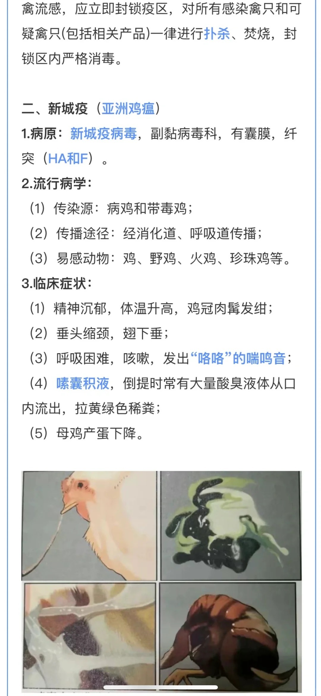 最新鸡瘟情况，一场关于冒险与友情的挑战之旅