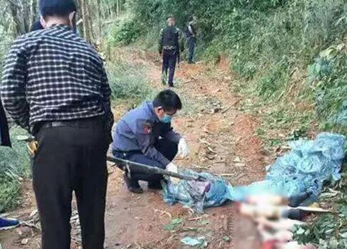 揭秘云南最新命案内幕