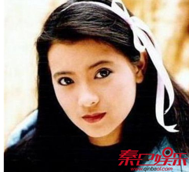 蓝洁瑛最新节目深度解析，影响与意义探讨