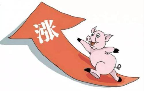 最新肉价规定揭秘，小巷美食背后的秘密之旅